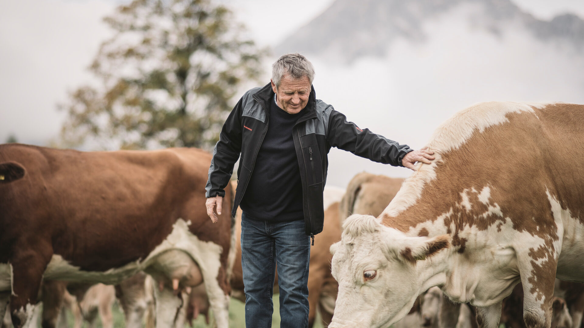 29 Jahre regionaler Leferpartner für Styria Beef